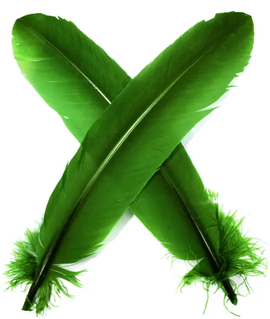 Turkey broad Wing Quill Dyed -  Green Grymt vingmaterial till laxflugor 