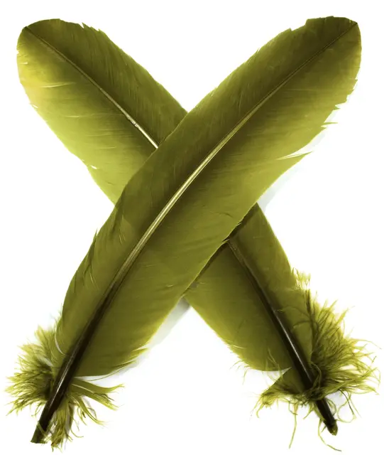 Turkey broad Wing Quill Dyed -  M. Olive Grymt vingmaterial till laxflugor 