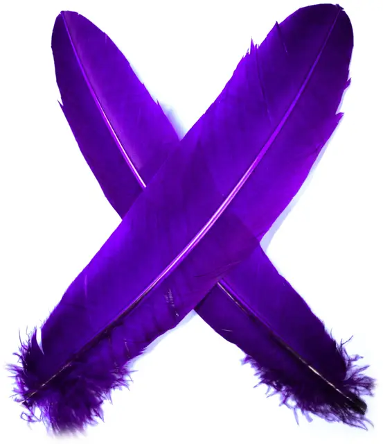 Turkey broad Wing Quill Dyed -  Purple Grymt vingmaterial till laxflugor 