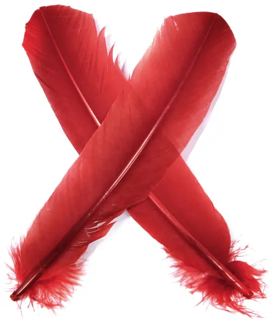 Turkey broad Wing Quill Dyed -  Red Grymt vingmaterial till laxflugor 