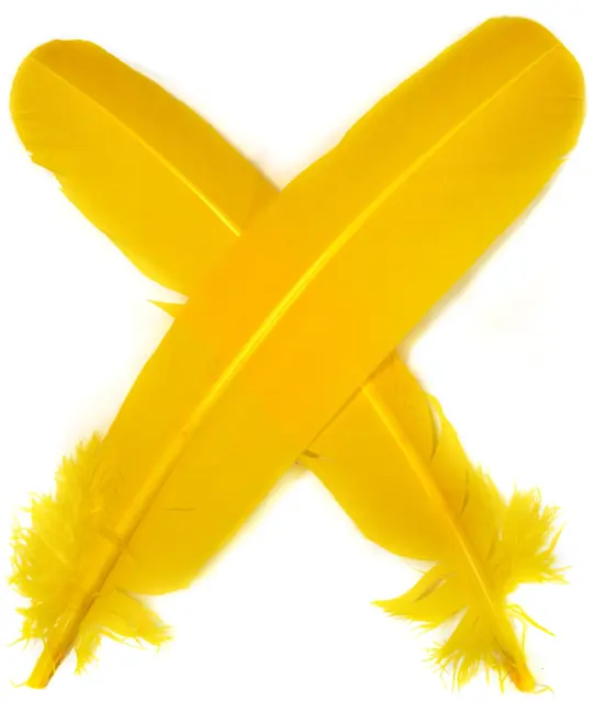 Turkey broad Wing Quill Dyed -  Yellow Grymt vingmaterial till laxflugor 