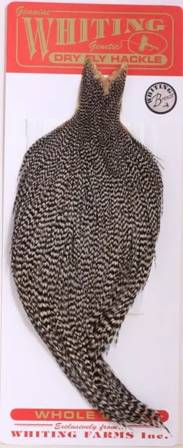 Whiting Dry Fly Cape - Grizzly Bronsgradering 