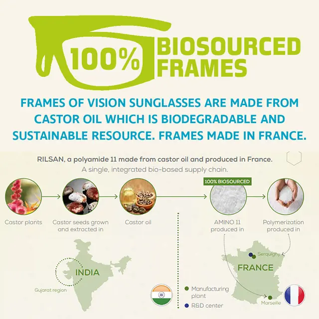 Vision Aslak FOTO Solglasögon 