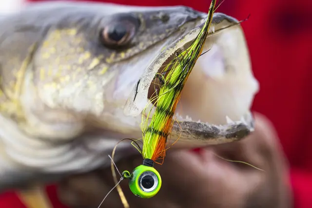 VMC Moontail jiggg Bullhead 10,5g jiggghuvud utrustade med bucktail/flash 