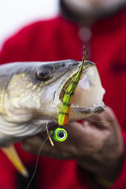 VMC Moontail jiggg Bullhead 10,5g jiggghuvud utrustade med bucktail/flash 