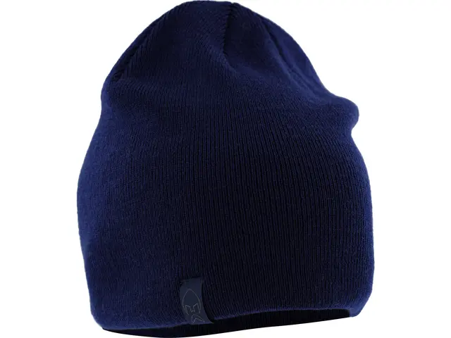 Westin Windster Beanie Navy One Size 