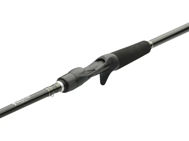 Westin W2 Finesse Shad-T 7'4" H 12-38g 220cm 2-delt 