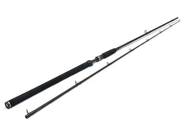 Westin W3 Powershad-T 2nd 8'3" 40-130g 2-delat 