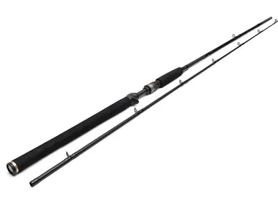 Westin W3 Jerkbait-T 2nd 6'6" 20-80g 2-delat, H 