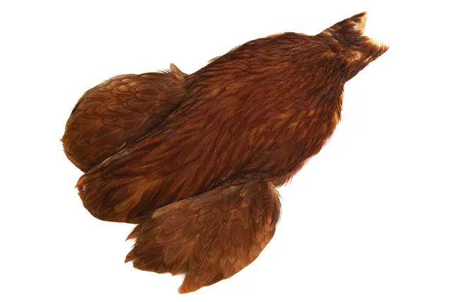 Whiting 4B Hen Cape Brown Fjädrar för flugbindare. 