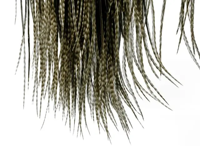 Whiting Hebert Pro Grade Saddle DGrizzly Naturfarget tørrfluehackle 