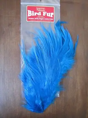 Whiting Bird Fur Kingfisher Blue Fluene blir enda mer levende 