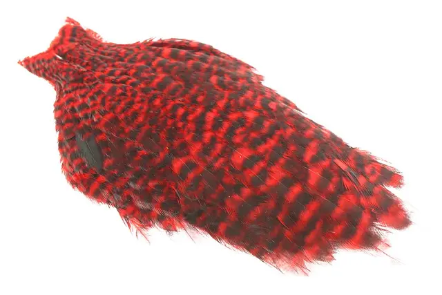 Whiting American Hen Cape Grizzly Red 