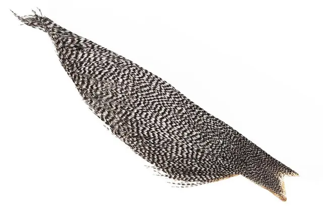 Whiting Dryfly Cape 1/2 Grizzly Bronze Grade 