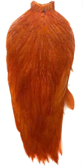 Whiting American Rooster Cape White/Burnt Orange 