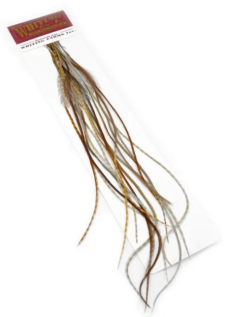 Whiting 100's Saddle Barred Dark #16 Barred Dark Ginger krok #16 