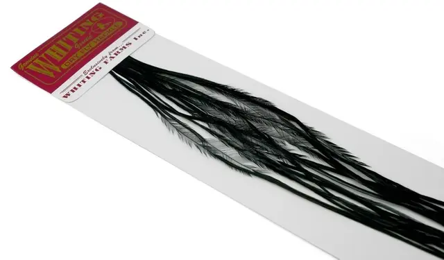 Whiting 100's Saddle Black #16 Black krok #16 