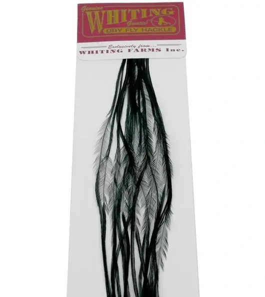 Whiting 100's Saddle Black #16 Black krok #16 