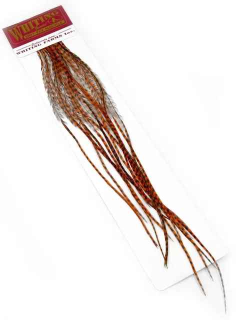 Whiting 100's Saddle Grizzly #18 Grizzly dyed Burnt Orange krok #18 