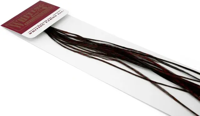 Whiting 100's Saddle Grizzly #16 Grizzly dyed Coachman Brown krok #16 