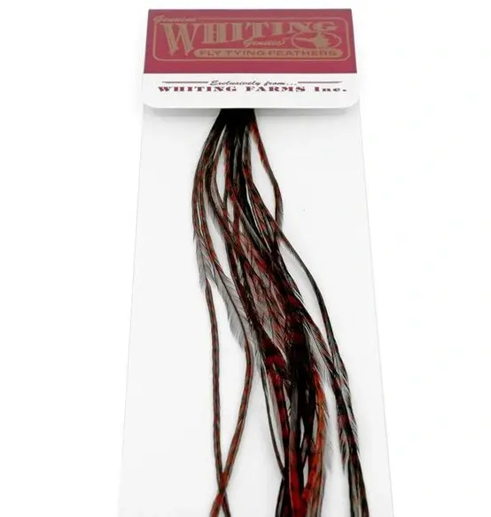 Whiting 100's Saddle Grizzly #16 Grizzly dyed Coachman Brown krok #16 