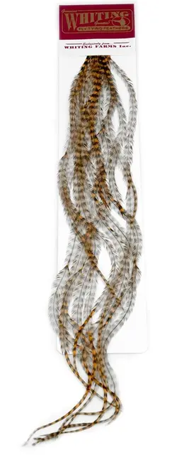 Whiting 100's Saddle Grizzly Grizzly dyed Golden Brown krok #18 