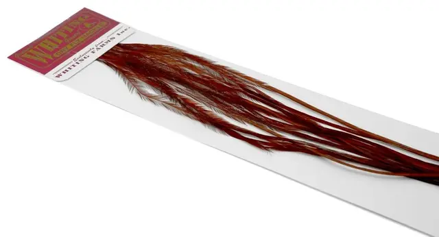 Whiting 100's Saddle White #14 White dyed Coachman Brown krok #14 