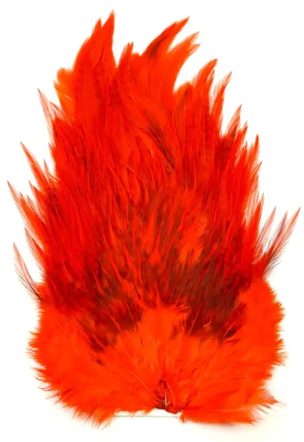 Whiting 4B Rooster Saddle White dyed Ora White dyed Orange hanesaddel 