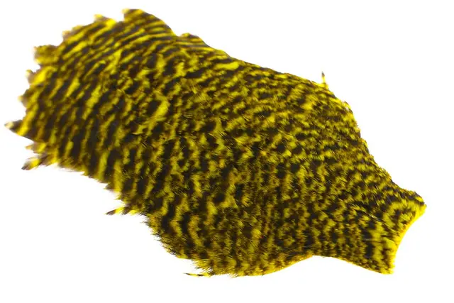 Whiting American Hen Cape Grizzly Yellow 