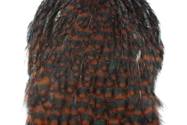 Whiting American Hen Cape Grizzly CBrown GrizzlyCoachman Brown med myke fine fjær 