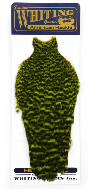 Whiting American Hen Cape Grizzly Yellow Fluo Yellow Chartreuse med myke fine fjæ 