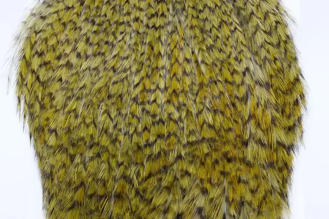 Whiting American Rooster Cape Grizzly dyed Dark Olive 