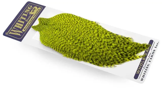 Whiting American Rooster Cape Grizzly dyed Fl. Yellow Chartreuse 