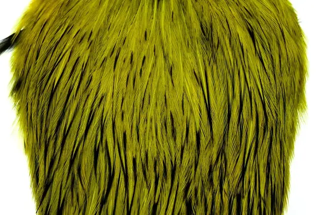 Whiting American Rooster Cape White dyed Olive 