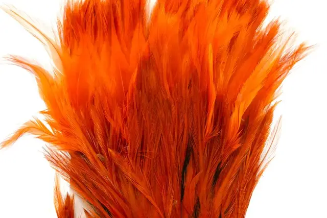 Whiting American Streamer Pack White dyed Burnt Orange 