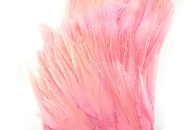 Whiting American Streamer Pack White dyed Shell Pink 