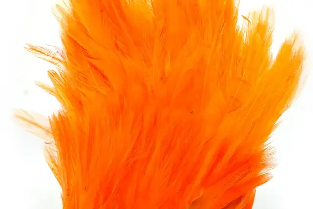 Whiting American Streamer Pack White dyed Shrimp Orange 