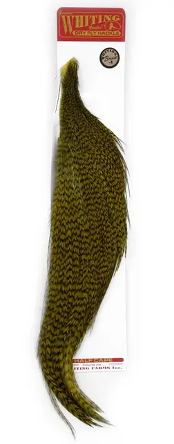 Whiting Bronze 1/2 Cape Grizzly dyed Dark Olive 