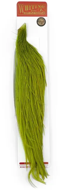 Whiting Bronze 1/2 Cape White dyed Olive 