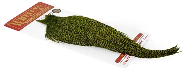 Whiting Bronze Cape Grizzly dyed Olive Kvalitetsfjær til binding av tørrfluer 