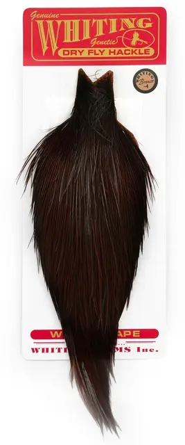 Whiting Bronze Cape White dyed Coachman Kvalitetsfjær til binding av tørrfluer 