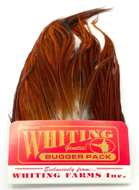 Whiting Bugger Pack Brown Lange fjær med naturlig tapering 