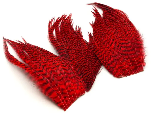 Whiting Bugger Pack Grizzly dyed Red Lange fjær med naturlig tapering 