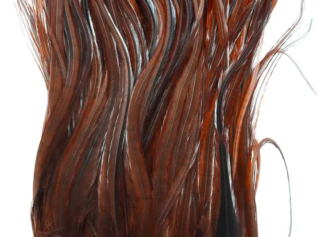 Whiting Bugger Pack White dyed Coachmann Lange fjær med naturlig tapering 