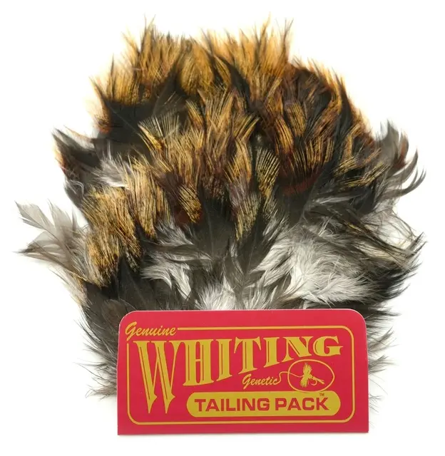 Whiting Coq De Leon Tailing Pack Unique Variant 