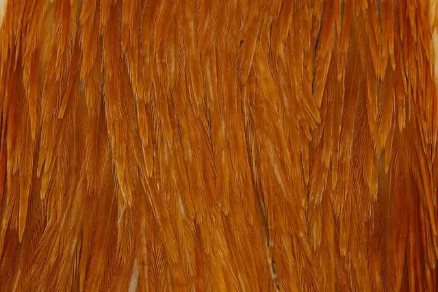 Whiting Hebert Hen Cape Medium Ginger 