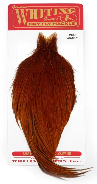 Whiting Pro Grade Cape Brown Nakkefjær av høy kvalitet til tørrfluer 
