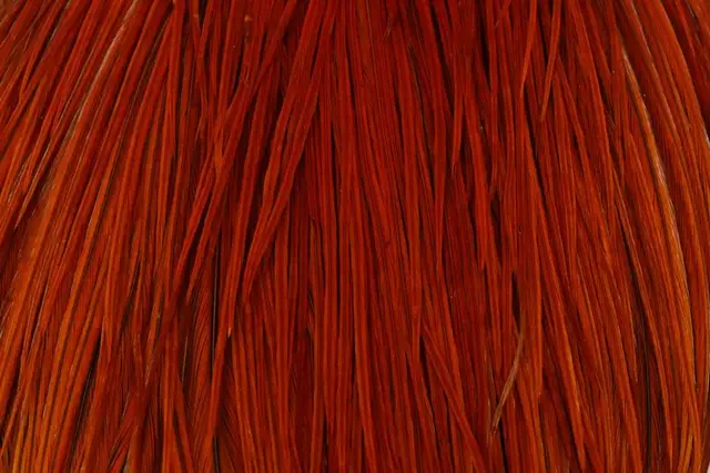 Whiting Pro Grade Cape Brown Nakkefjær av høy kvalitet til tørrfluer 