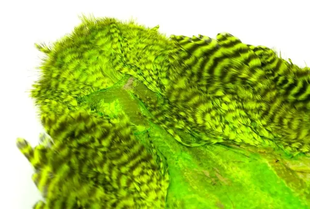 Whiting Rooster SH/C Grizzly Grizzly dyed Fluo Green Chartreuse 