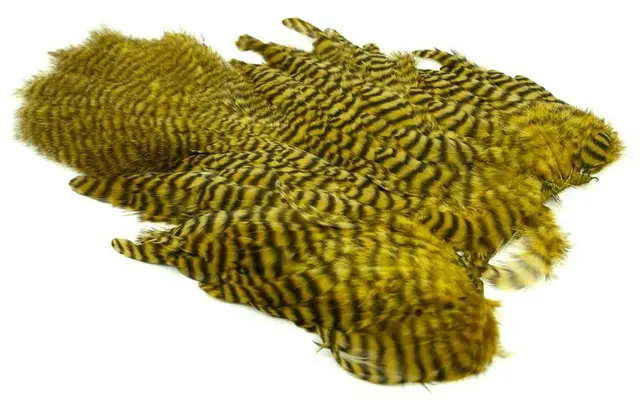 Whiting Rooster SH/C Grizzly Grizzly dyed Golden Olive 